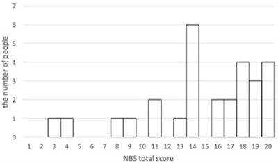 Reliability and validity of the Nepean Beliefs Scale for delusions and overvalued ideas in chronic schizophrenia: analysis of a preliminary pilot study